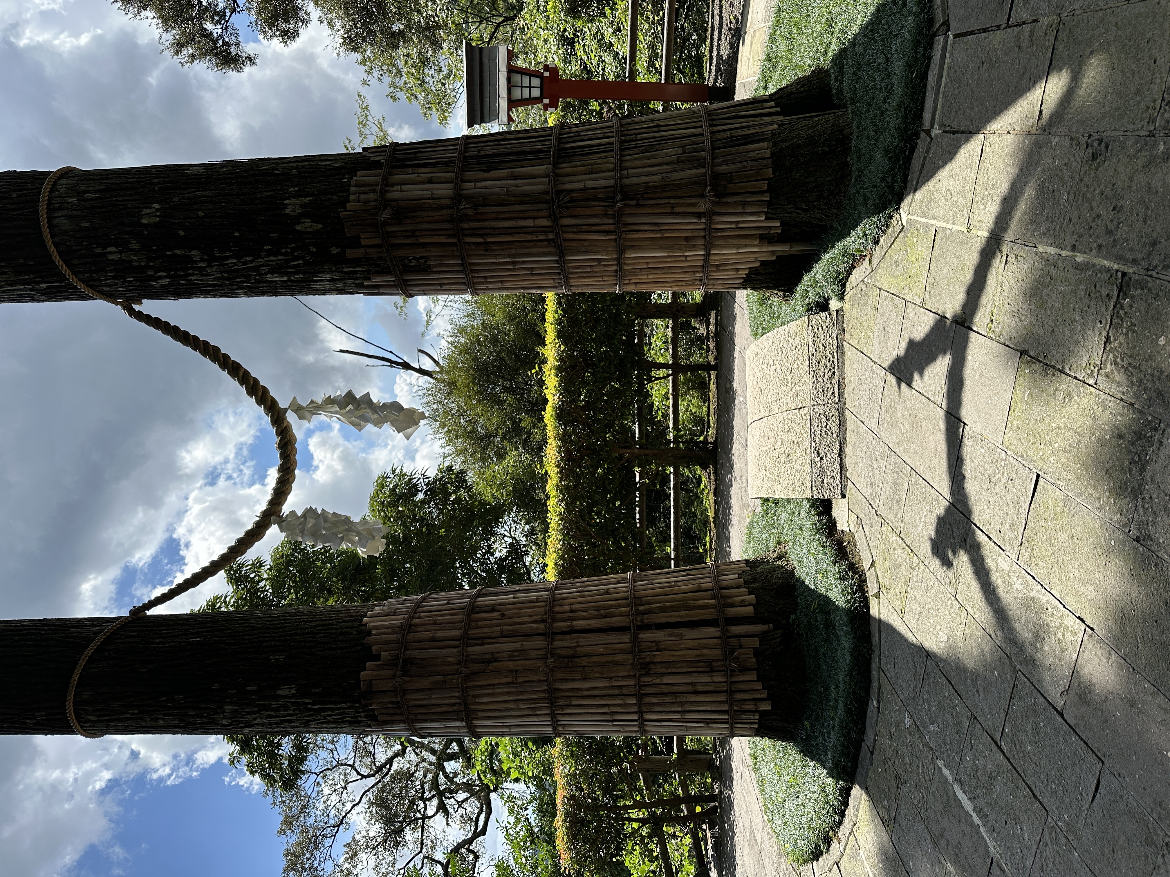 占い師ゆり葉のお気に入り写真2